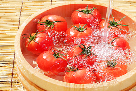 [夏作]朝採れトマト4kg(20玉前後)