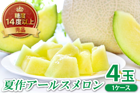 C-11 A[X@Gi@1c/si4ʁjyčzy s\ ʕ  t[c ߂ A[X x14xȏ  Ԍ Gߌ \z