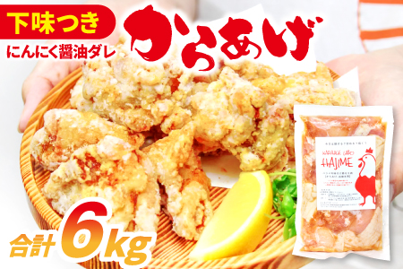 C-1062 nŴ炠@`_̉t{i300g×20܁jyg ɂɂݖ Ⓚ g ٓ ^ o[xL[ BBQ z[p[eB 300g×20  { { t