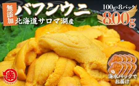 【先行予約】サロマ湖産 無添加 バフンウニ 800g（100g×8）海水パック（2026年4月以降順次発送予定） SRMA024