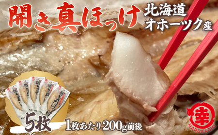 ق̊J 5i200gOj Iz[cNY ^ق SRMA025