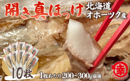 ق̊J 10i200`300gOj Iz[cNY ^ق SRMA026