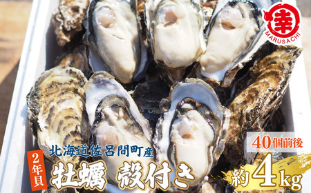 ys\zy10{珇zJL kt 2NL 4kgi40Oj CԎY SRMA041