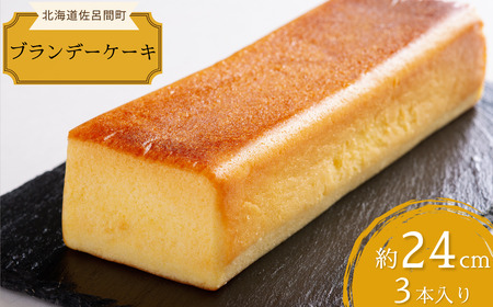 Ƃ荁lXC[c uf[P[L 24cm×3{ SRMJ036
