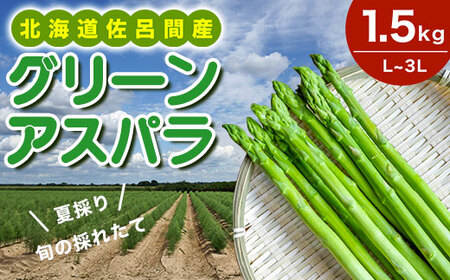【夏採り】 グリーンアスパラ 1.5kg（L～3L）旬の採れたて 北海道 佐呂間産 （2026年7月出荷開始先行予約） SRMM005