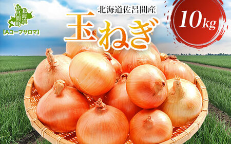 玉ねぎ 10kg 北海道 佐呂間産（2025年10月出荷開始先行予約） SRMM019