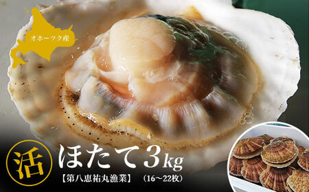 オホーツク産 『活』 ほたて 3kg（16～22枚） SRMN001