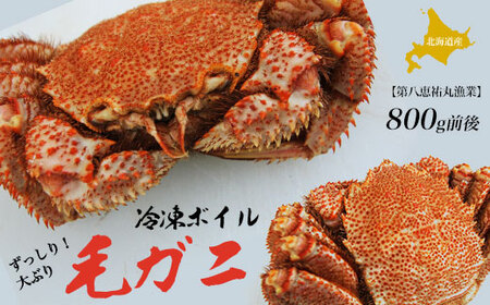 北海道産 ずっしり!大ぶり 冷凍ボイル毛ガニ 800g前後