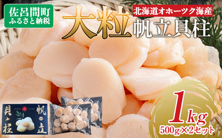 北海道オホーツク海産 大玉帆立貝柱 500g×2セット SRMR002 | 帆立