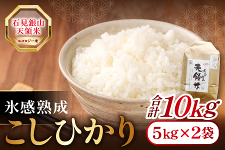 石見銀山天領米(氷感熟成エコロジー米こしひかり)10kg[コシヒカリ 10kg こしひかり お米 精米 島根県産 大田市産 米 氷感熟成 エコロジー米 減農薬 減化学肥料]