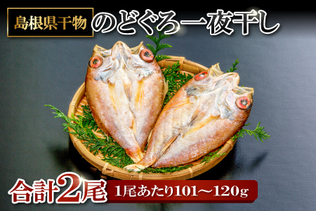 旨みを引き出した のどぐろ一夜干し 2尾[1尾あたり101〜120g のどぐろ干物 ノドグロ のど黒 あかむつ アカムツ 干物 個包装 小分け 真空パック 冷凍 父の日 母の日]