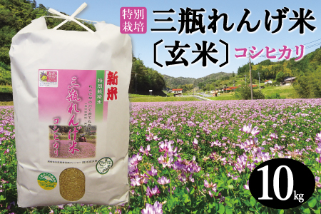 [玄米]特別栽培 三瓶れんげ米 コシヒカリ 10kg[令和6年産 お米 玄米 10kg こしひかり 2024年産 特別栽培米 1等米 無化学窒素肥料 減農薬米]