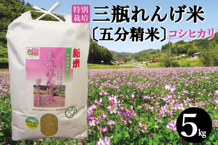 [五分精米]特別栽培 三瓶れんげ米 コシヒカリ 5kg[令和6年産 お米 5kg こしひかり 五分精米 2024年産 特別栽培米 5分づき 無化学窒素肥料 減農薬米]