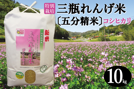 [五分精米]特別栽培 三瓶れんげ米 コシヒカリ 10kg[令和6年産 先行予約 こしひかり お米 10kg 2024年産 特別栽培米 五分精米 1等米 無化学窒素肥料 減農薬米]