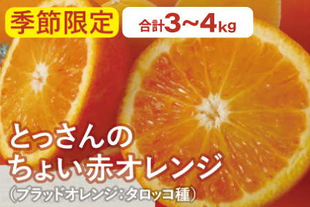 とっさんのちょい赤オレンジ（ブラッドオレンジ：タロッコ種）（配達指定日不可）【ブラッドオレンジ 2箱 3kg～4kg 果物 くだもの フルーツ ジュース スムージー】