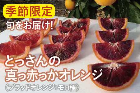 とっさんの真っ赤っかオレンジ（ブラッドオレンジ：モロ種）（配達指定日不可）【ブラッドオレンジ 2箱 3kg～4kg 果物 フルーツ くだもの ジュース スムージー】