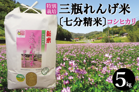 [七分精米]特別栽培 三瓶れんげ米 コシヒカリ 5kg[令和6年産 先行予約 こしひかり お米 5kg 2024年産 特別栽培米 七分精米 1等米 無化学窒素肥料 減農薬米]