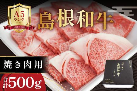 三瓶の極み 島根和牛A5 焼肉用500g