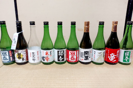 若林酒造「開春」日本酒 10種お届け定期便(720ml×10本)5回コース[日本酒 定期便 10種類 720ml お酒 地酒 飲み比べ 純米 特別純米 大吟醸 辛口 生もと 開春 2本ずつ 5回]