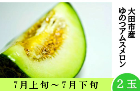 [春作]温泉津アムスメロン×2玉(配達指定日不可)[アムスメロン メロン 2玉 青肉 期間限定 季節限定 果物 フルーツ くだもの 贅沢 ご褒美 デザート 先行予約]