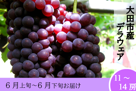 デラウェア（２ｋｇ）【ぶどう 葡萄 デラウェア 2kg フルーツ 果物 くだもの ブドウ 季節限定 期間限定 デザート ご褒美】