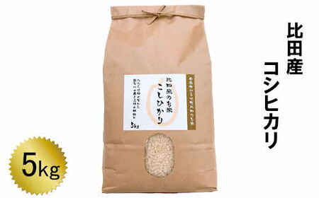 比田産 コシヒカリ 5kg [令和6年産] / 新米 こしひかり 棚田米 精米 白米