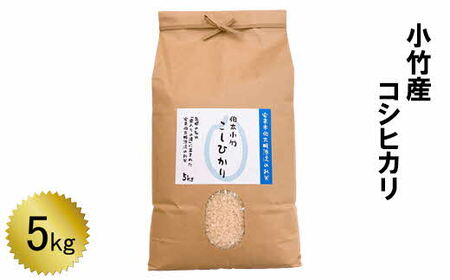 小竹産 コシヒカリ 5kg [令和5年産]/ こしひかり 名水米 精米 白米