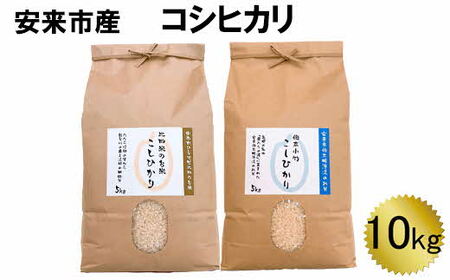 安来産 コシヒカリ 10kg [令和5年産]/ こしひかり 棚田米 精米 白米 食べ比べ