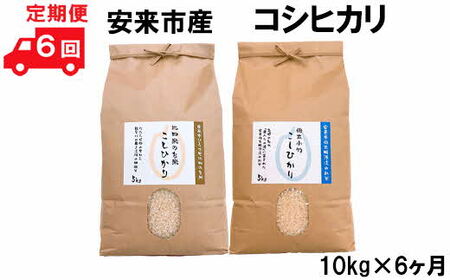 [定期便]安来産コシヒカリ 10kg×6ヵ月 [令和5年産] / こしひかり 棚田米 精米 白米 食べ比べ