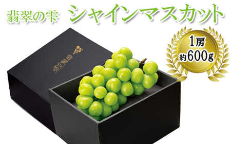 【予約：お届け2025年9月中旬～】翡翠の雫シャインマスカット 1房約600g×1【JU米子高島屋選定品】 ギフト 高級 期間 限定 予約 ぶどう 皮ごと 種なし