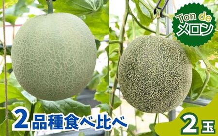 Ton de メロン 2品種食べ比べ♪【ペルルグリーンメロン アールスヴェルダメロン フルーツ 果物 食べ比べ 美味しい 甘い 芳醇 しっとり 上品 旬 ご褒美 ギフト 贈り物 ご自宅用 安来 島根県 安来市】