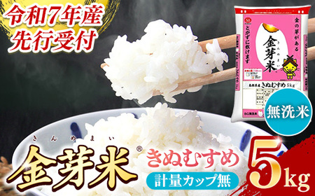 【先行受付】新米 令和7年産 BG無洗米・金芽米きぬむすめ 5kg 計量カップ無し【先行予約 新米予約 予約 節水 低カロリー 健康 ビタミン ミネラル つや お弁当 おいしい うまみ 甘み ふっくら 時短 簡単 島根県 安来市】【価格変更】