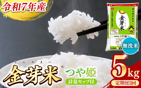 BGāEĂP 5kg×3  [] vʃJbvt ߘa7NY Z N ʍ͔| ܂ Â h{  낢 ӂ r^~ ~l  s