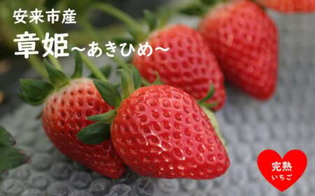 いちご 章姫 2パックセット[島根県安来産 完熟いちご] 先行予約 受付 完熟 苺 イチゴ 島根県産 甘い 人気 特産品 高級 フルーツ デザート