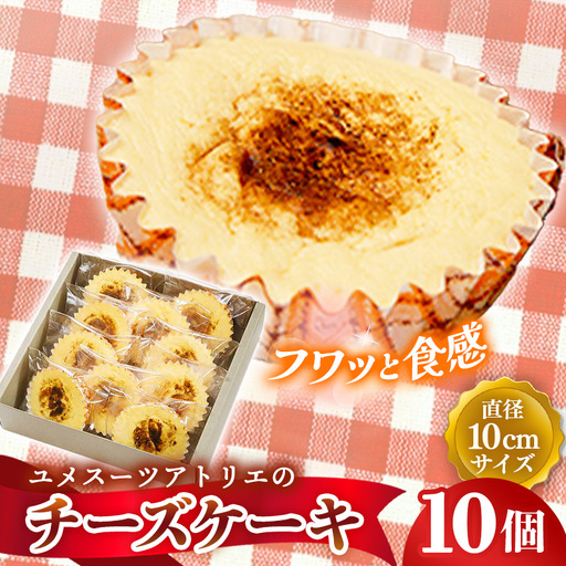 アトリエチーズ10個入り[チーズケーキ ケーキ おやつ お菓子 スイーツ 贈り物 島根県 安来市][16-YA-07]