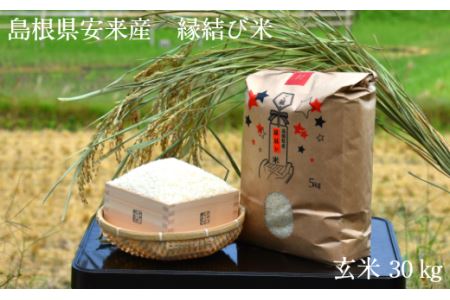 島根米 玄米 30kg