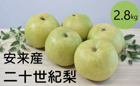 二十世紀梨 2.8kg[先行受付 2025年発送 梨 なし ナシ 20世紀 美味しい みずみずしい 期間限定 先行予約]