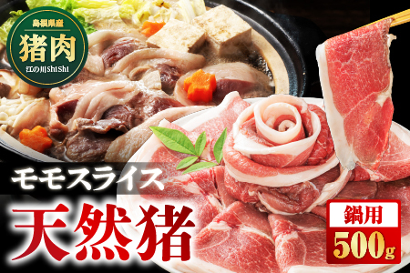 天然猪 江の川shishi 猪モモスライス 鍋用 500g ( 2〜3人前 ) いのしし肉 イノシシ肉 猪肉 猪 モモ肉 スライス ジビエ 鍋 猪鍋 ぼたん鍋 AI-5