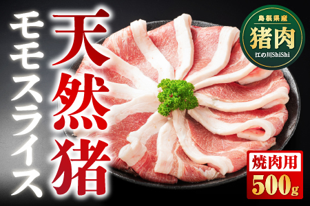 天然猪 江の川shishi 猪モモスライス 焼肉用 500g ( 2〜3人前 ) いのしし肉 イノシシ肉 猪肉 猪 モモ肉 スライス ジビエ 焼肉 BBQ AI-6