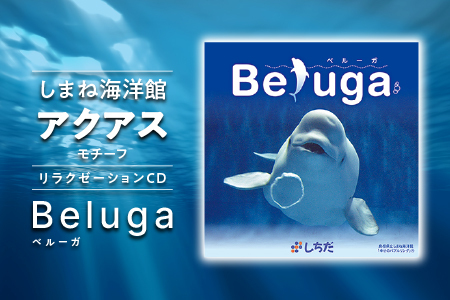 江津市限定返礼品:しまね海洋館アクアスがモチーフとなった癒やしのCD「Beluga」