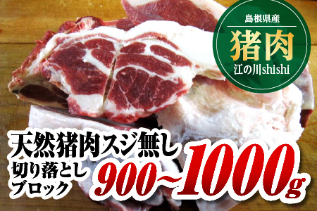 江の川shishi 切り落とし ブロック 900g〜1000g 猪肉 いのしし肉 イノシシ肉 ジビエ スジ無し 煮込み用 角煮 焼肉用