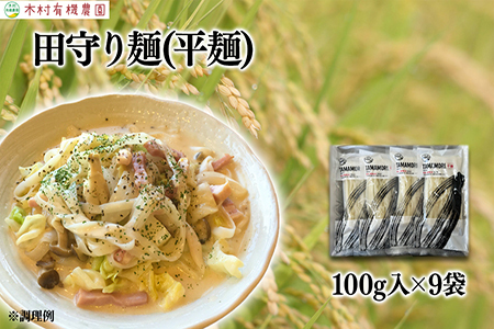 グルテンフリー米粉100%麺 田守り麺(平麺)100g×9袋