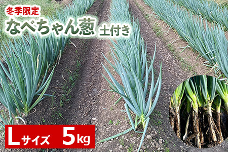 なべちゃん葱 Lサイズ5kg(500g×10袋)