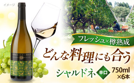 ワイン シャルドネ 6本セット[AICS018] ワイン