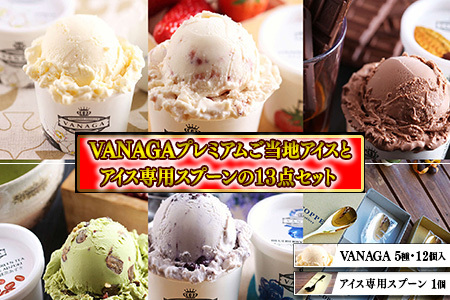 VANAGAプレミアムご当地アイス12個とアイス専用スプーン(ゴールド1本)の13点セット