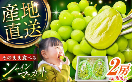 【2025年先行予約】【8月初旬頃から順次発送】皮ごと食べれる！シャインマスカット 2房 約800g 島根県雲南市/池田ぶどう農園　[AIAA002]