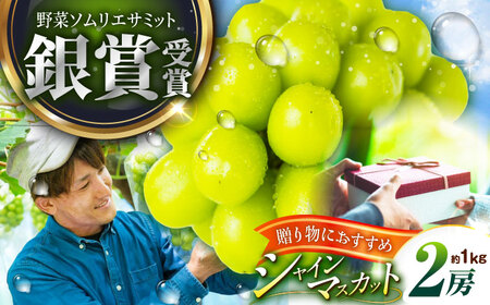 【2025年先行予約】【数量限定】【贈答用】旬の味わいを産地直送で！シャインマスカット 2房（約1kg）秀品・化粧箱入り 島根県雲南市/ギアファーム[AIAB001]