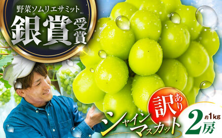【2025年先行予約】【数量限定】【ご自宅用】旬の味わいを産地直送で！シャインマスカット 2房（約1kg）簡易包装 訳あり 島根県雲南市/ギアファーム[AIAB002]