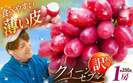 Ԃǂ y2026Ns\zy10zypzNC[Zu 1[i350gj [AIAB008] Ԃǂ