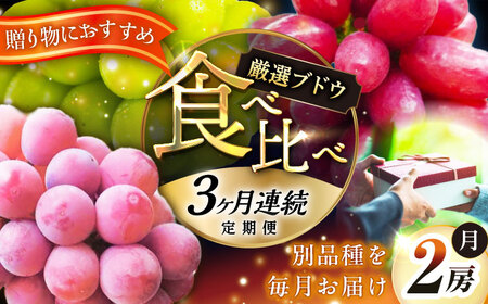 Ԃǂ yS3ցzy2026Ns\zy30zyGizC`IV3i e2[ [AIAB010] Ԃǂ